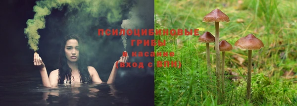 дурь Алексин