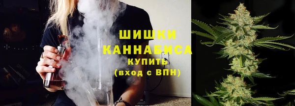 сатива Россошь