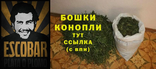 сатива Россошь