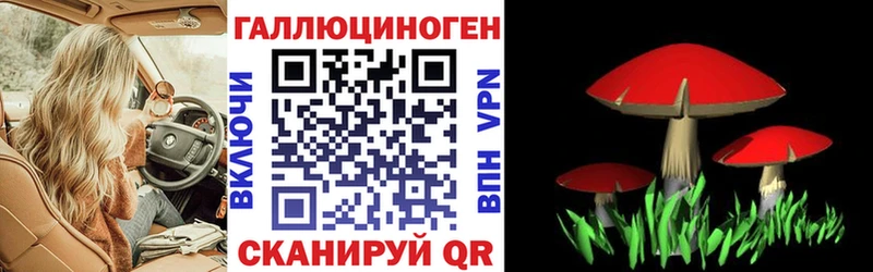 Галлюциногенные грибы ЛСД  Полярные Зори 