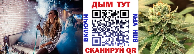 Шишки марихуана план  цена наркотик  Полярные Зори 